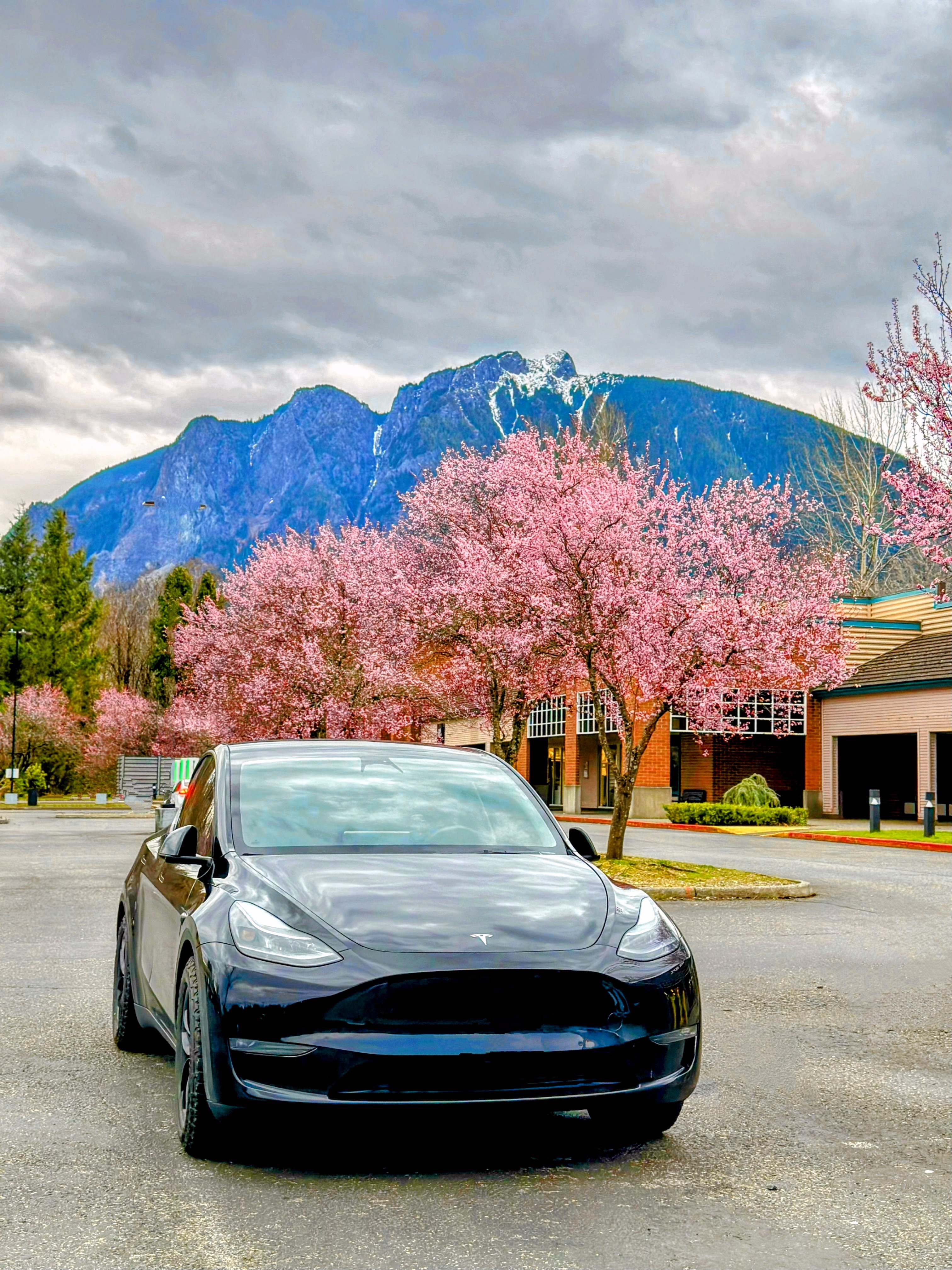 The Performance Model Y in the Cascade foothills