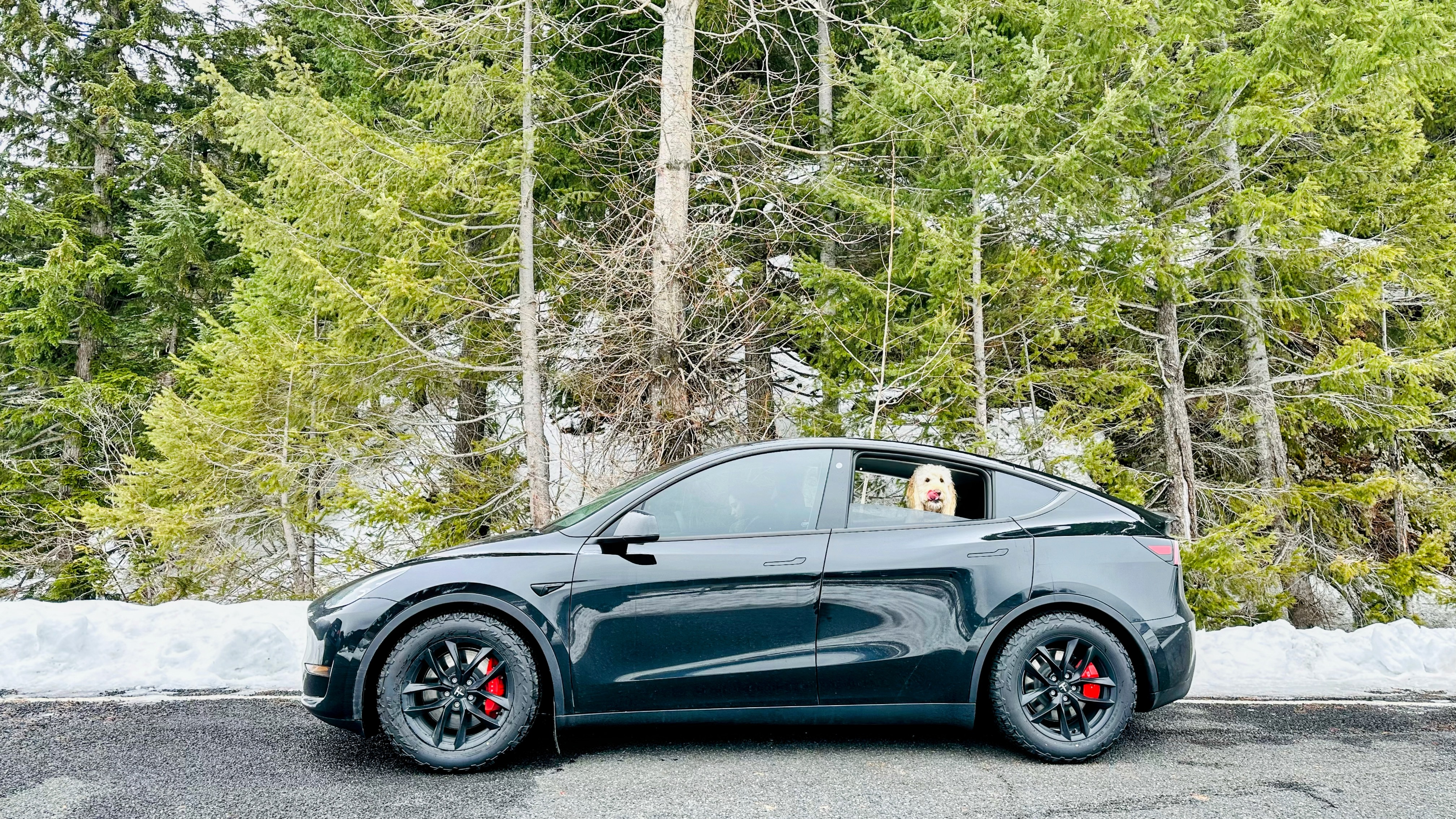 Korra approved of the Tesla too